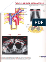 atlas anatomia torax.pdf