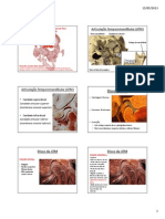 Articulação Temporomandibular (ATM)