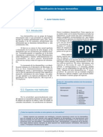 Capitulo12 Identificacion de hongos dermatofitos