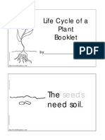 Life Cycle of A Plant Booklet