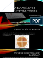 pruebasbioqumicas