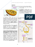  Fosforilizacion Oxidativa