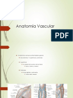 anato vascular 2