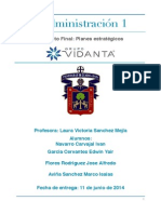 Trabajo Final Administracion (Grupo Vidanta)