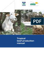 Tropical Beef Production Manual