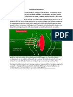 Fisiopato 12 (Inmunologia Del Embarazo)