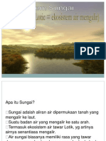 Ekosistem Sungai