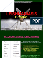 Vectores de Leishmaniasis