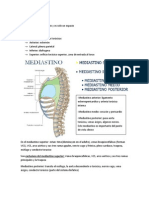 Tipeo Mediastino y Corazon