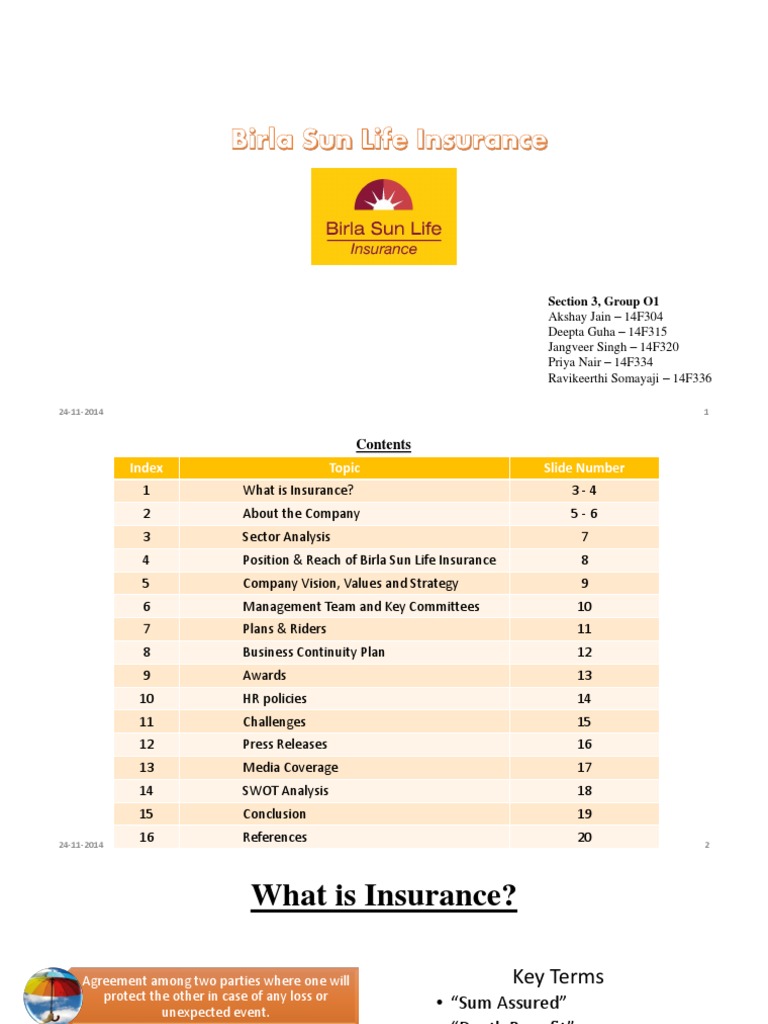 Overview of Birla Sun Life Insurance | PDF | Life Insurance | Insurance