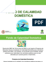 Calamidad Domestica