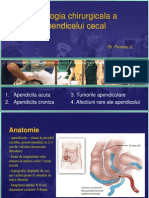 Patologia Apendicelui Cecal (Apendice Modificat)