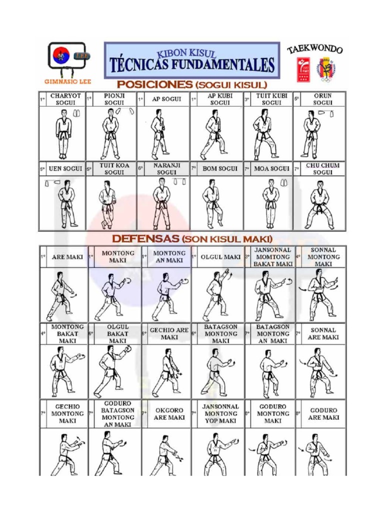 Tecnicas Taekwondo PDF