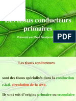 Cours_4-_Les_tissus_conducteurs_primaires__1_.pdf
