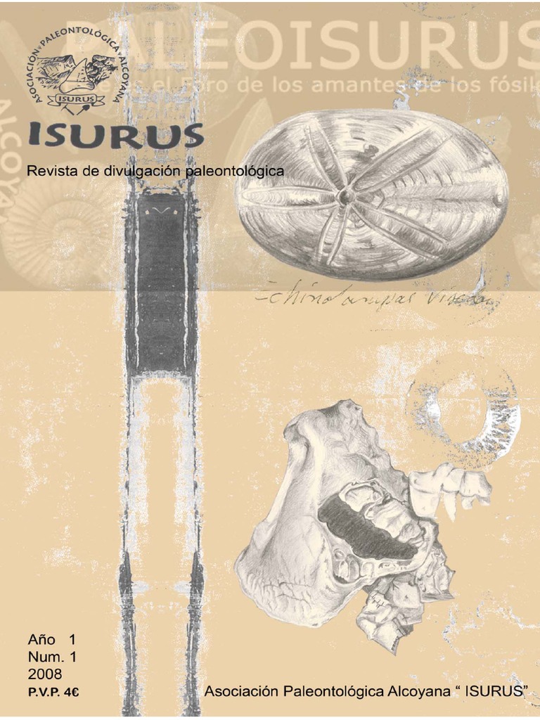 Isurus 01 | PDF
