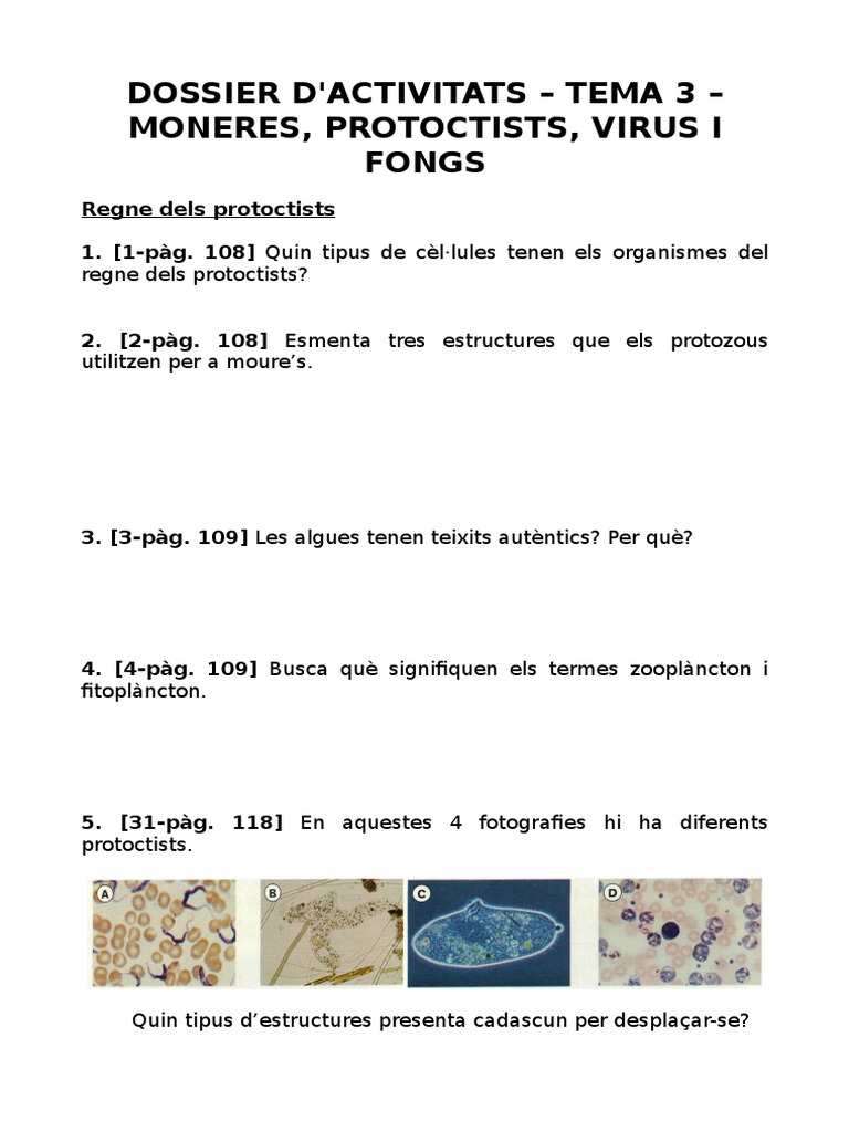 Dossier Activitats - Éssers Vius Més Senzills | PDF