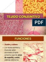 Tejido Conjuntivo