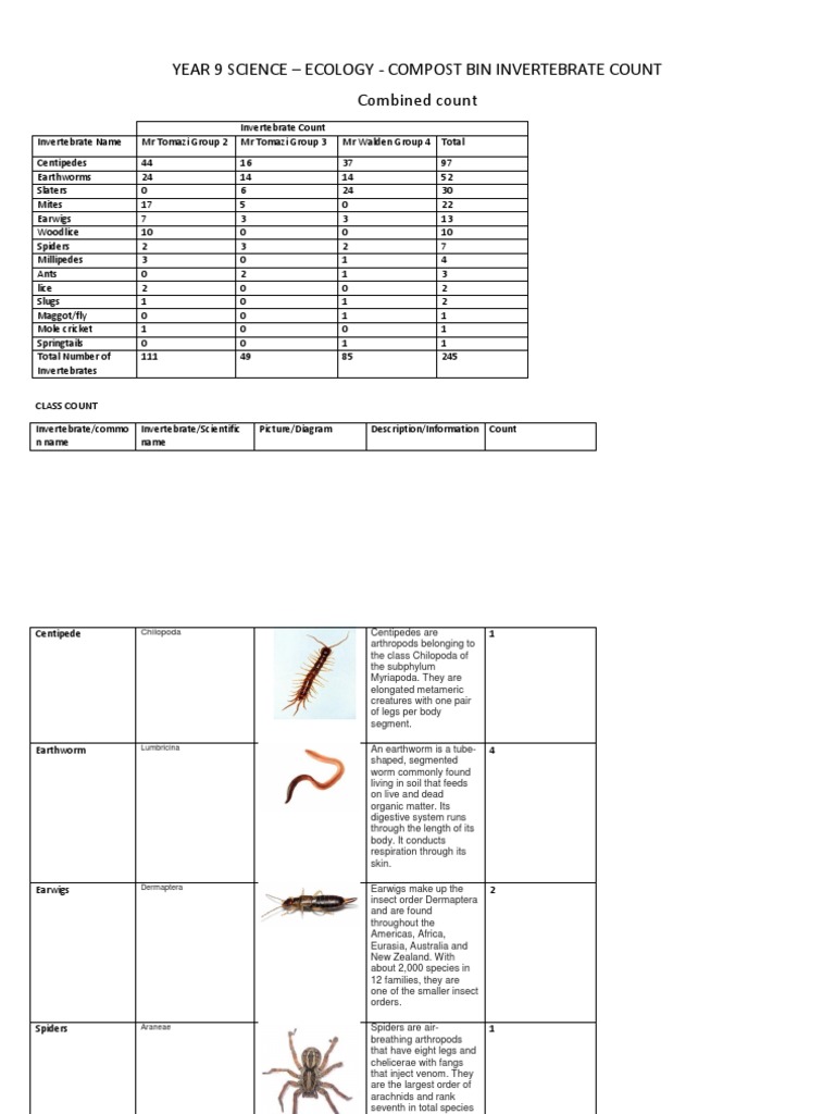 Year 9 Ecology Invertebrate Count Data | PDF