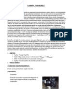 Curvas de enfriamiento y COP de una cámara frigorífica