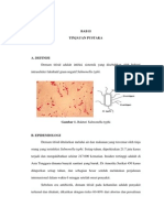 Typhoid in Pregnancy