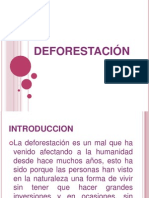 Deforestacion