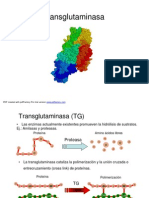 TG Ajinomoto PDF