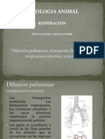 Difusión Pulmonar, Transporte de O2 y