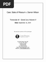 Darren Wilson Testimony