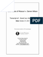 Ferguson Grand Jury Volume 16