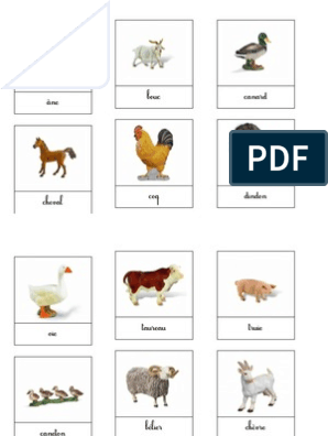 Cartes de nomenclatures des animaux de la ferme - La Pédagogie Montessori