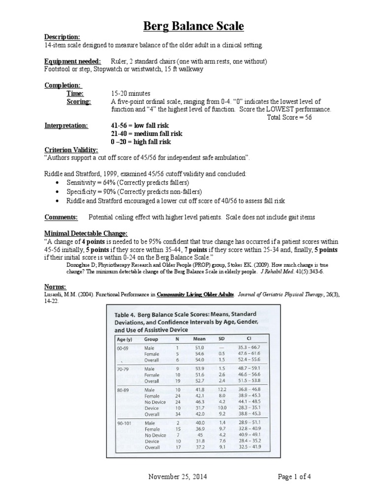 Berg Balance Scale Pdf