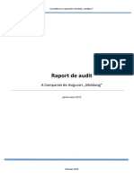 Raport de Audit