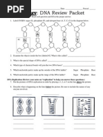 Dna Review Packet Updated