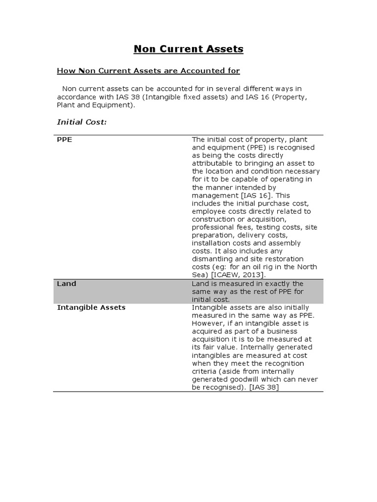 Current asset Essays