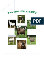 Ferma-de-capre