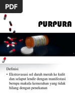 Purpura Purpura