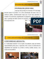 Conclusion Anticipada Del Juicio Parcial