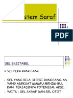 Sistem Saraf