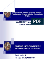 Sisteme Informatice Bi - Tema 4 PDF