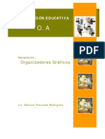 OrganizadorOrganizadores Graficos