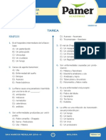 Bio Sem 14 Vitaminas y Enfermedades