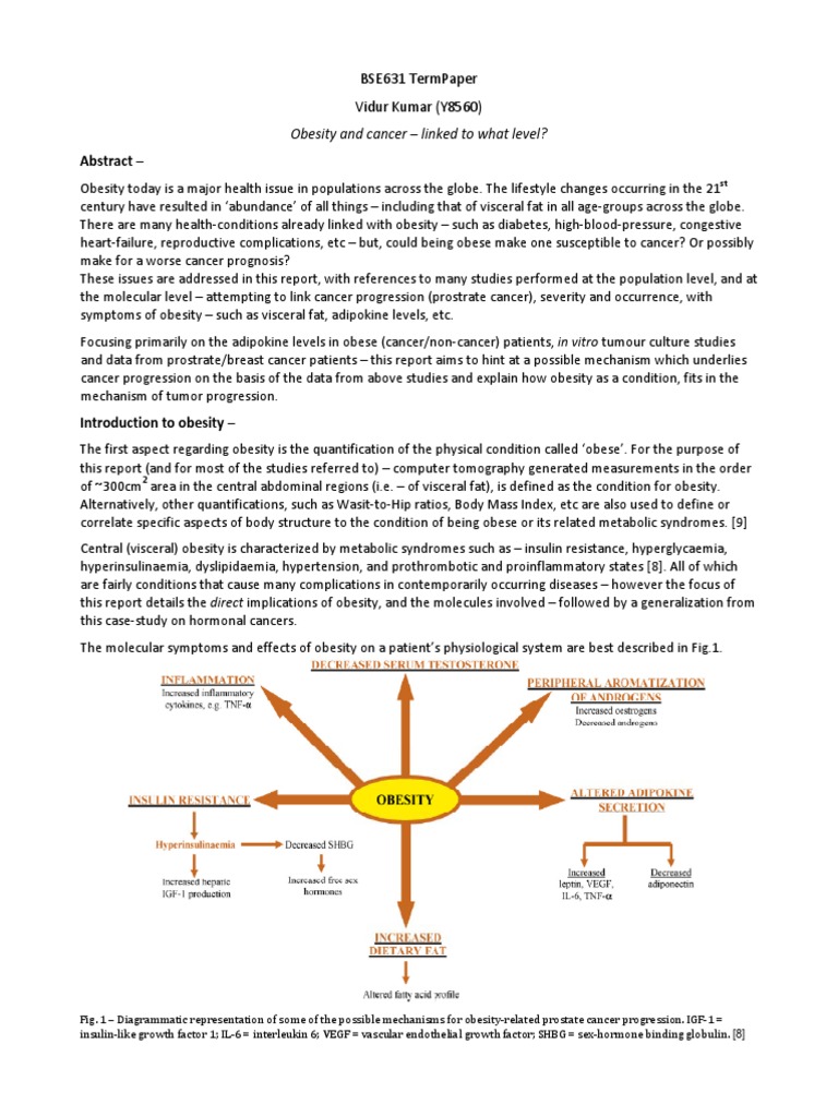 Obesity's Impact on Cancer Progression | PDF