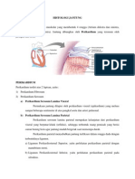 Histologi Jantung