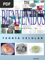 Clase Expositiva de La Teoria Celular