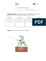 Evaluación Las Plantas