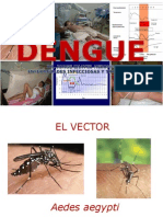 Dengue 2014