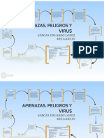 Amenazas, Peligros y Virus