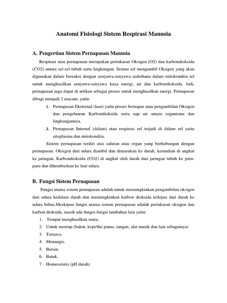 Sistem Pernafasan Pdf