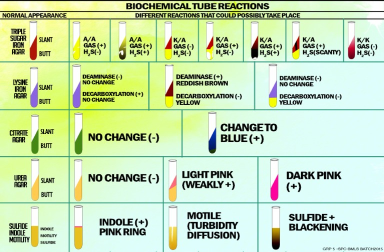 Biochem Test Tube | PDF