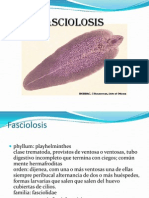 Fasciolosis: morfología, ciclo biológico, patología y diagnóstico